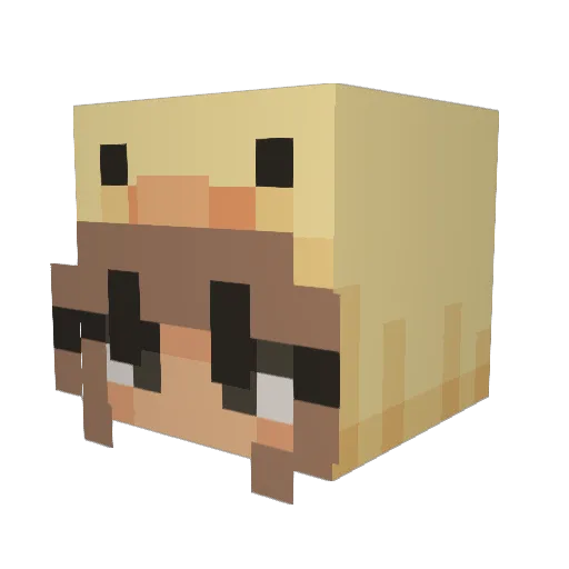 SuperCanela Minecraft avatar head, 3D render