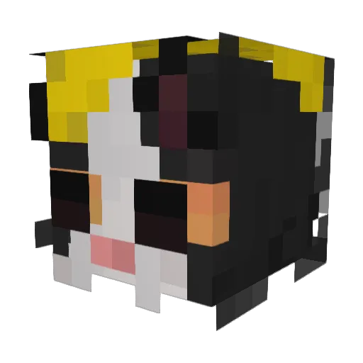 SuperCat007 Minecraft avatar head, 3D render