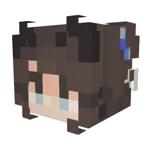 SuperCloudCat Minecraft avatar head, 3D render