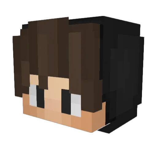 SuperComputer Minecraft avatar head, 3D render