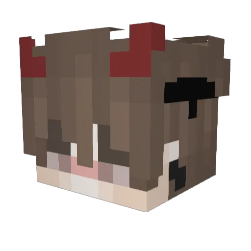 SuperCoolBiz Minecraft avatar head, 3D render