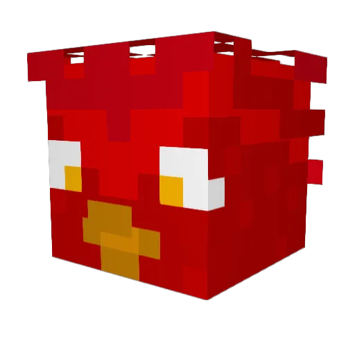 SuperCooper1127 Minecraft avatar head, 3D render