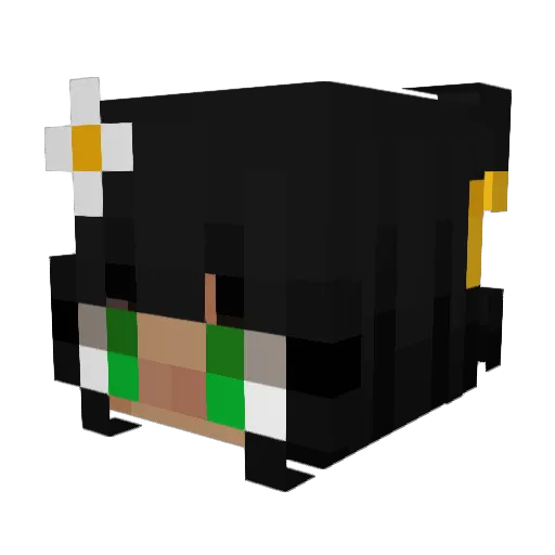 SuperDani0 Minecraft avatar head, 3D render