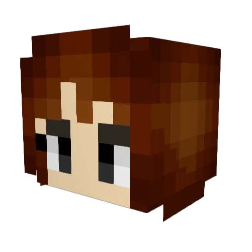 SuperDankWoody Minecraft avatar head, 3D render
