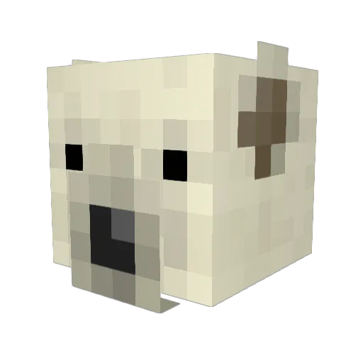 SuperDarkNight Minecraft avatar head, 3D render