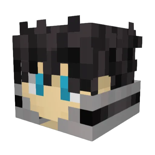 SuperDash222 Minecraft avatar head, 3D render
