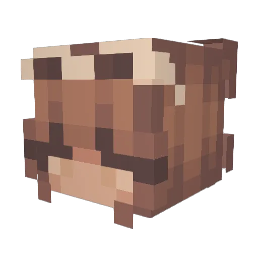 SuperDesertMouse Minecraft avatar head, 3D render