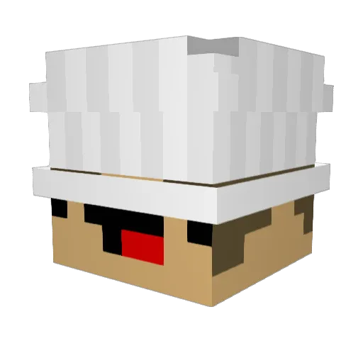 SuperDestroyer61 Minecraft avatar head, 3D render