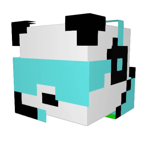 SuperDogx42 Minecraft avatar head, 3D render