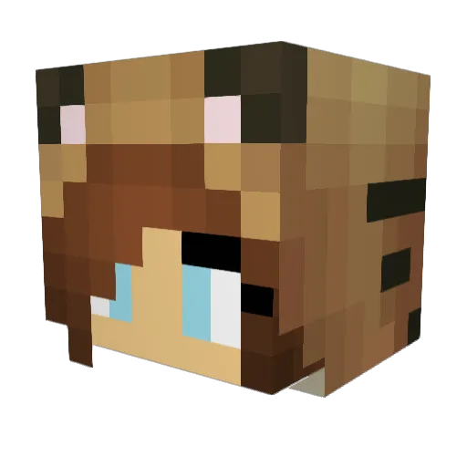 SuperDonut98 Minecraft avatar head, 3D render