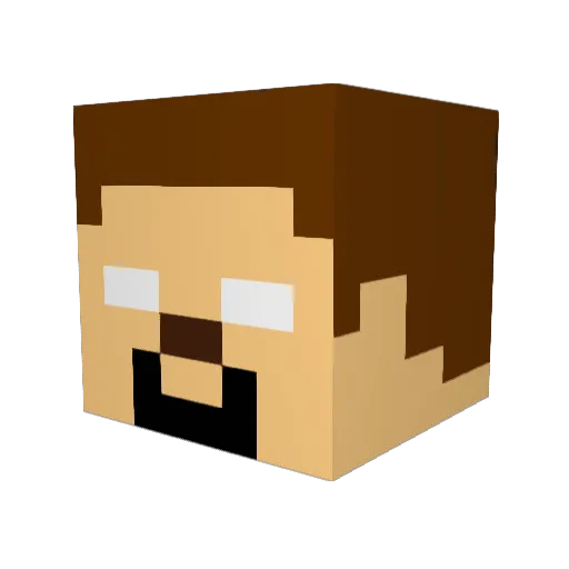 SuperDude10101 Minecraft avatar head, 3D render