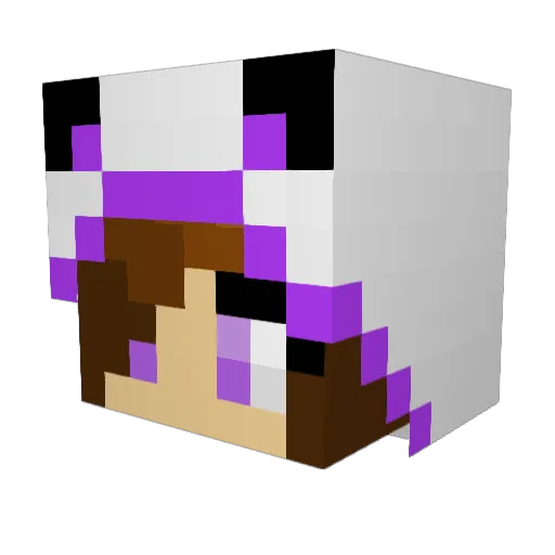 SuperDupaPanda Minecraft avatar head, 3D render