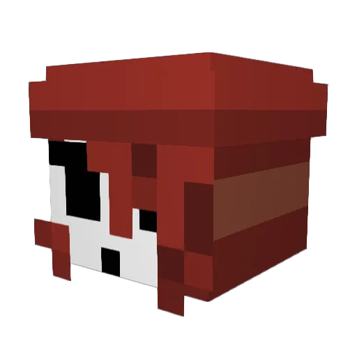 SuperDuperDude69 Minecraft avatar head, 3D render