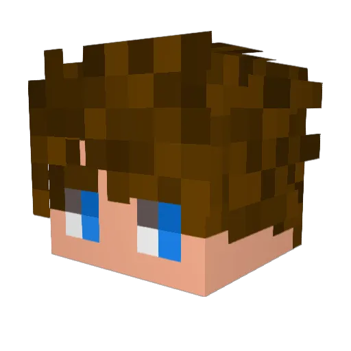 SuperEBM Minecraft avatar head, 3D render