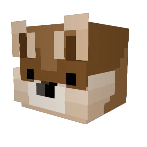 SuperEnderCat100 Minecraft avatar head, 3D render