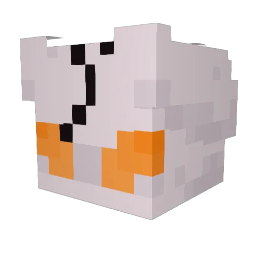 SuperEpic_Gamer2 Minecraft avatar head, 3D render