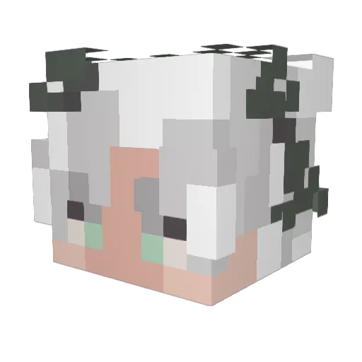 SuperFlashSloth Minecraft avatar head, 3D render