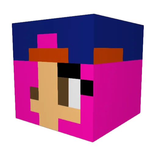 SuperFleur2012 Minecraft avatar head, 3D render