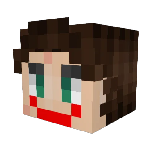 SuperFlip123 Minecraft avatar head, 3D render