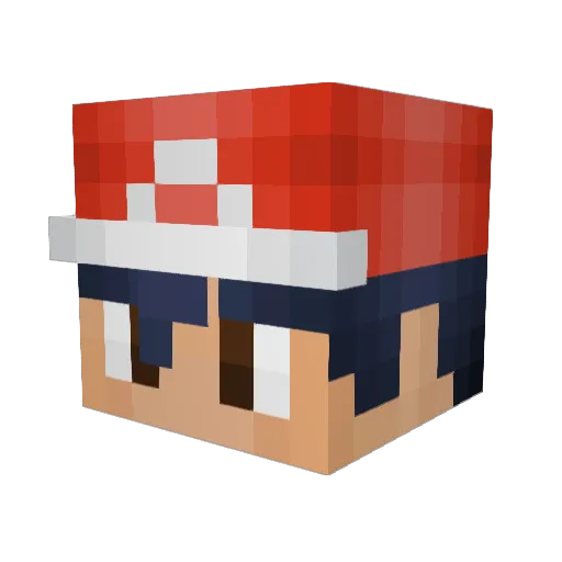 SuperFlyGuy2311 Minecraft avatar head, 3D render