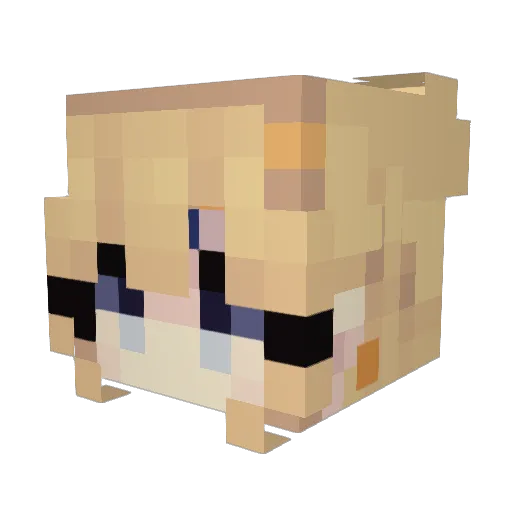 SuperFoxGamer8 Minecraft avatar head, 3D render