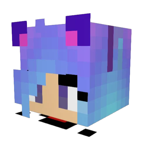 SuperGalaxyGamer Minecraft avatar head, 3D render