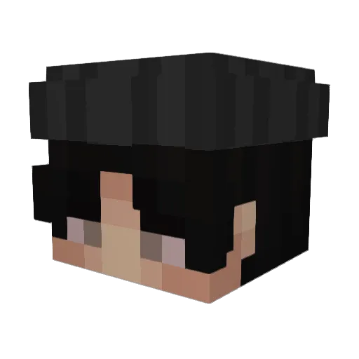 SuperGamer300 Minecraft avatar head, 3D render