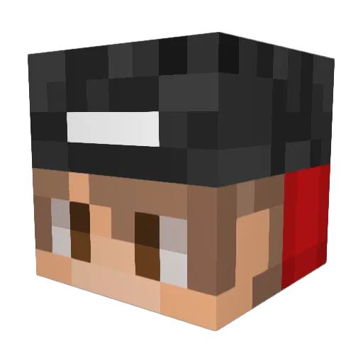 SuperGames110 Minecraft avatar head, 3D render