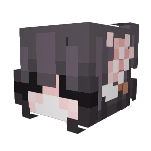 SuperGwenny Minecraft avatar head, 3D render