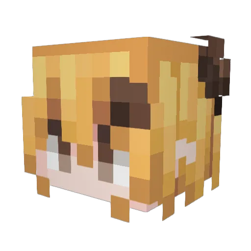 SuperHeli_ Minecraft avatar head, 3D render