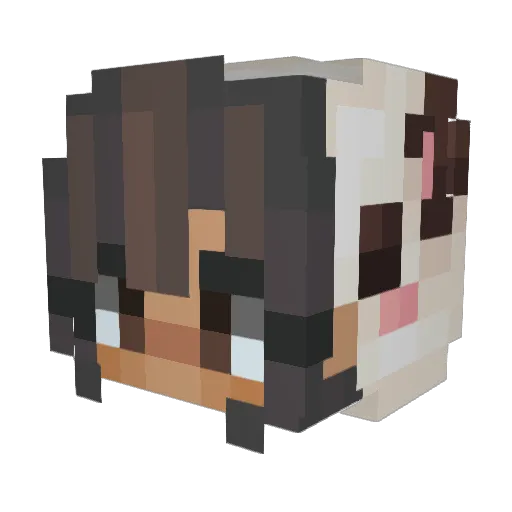SuperJennna Minecraft avatar head, 3D render
