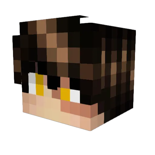 SuperJewTX Minecraft avatar head, 3D render