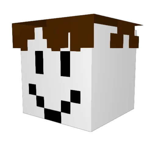 SuperJolkku Minecraft avatar head, 3D render