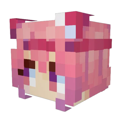 SuperKOOKS_69 Minecraft avatar head, 3D render