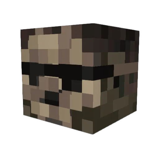 SuperKai2302 Minecraft avatar head, 3D render