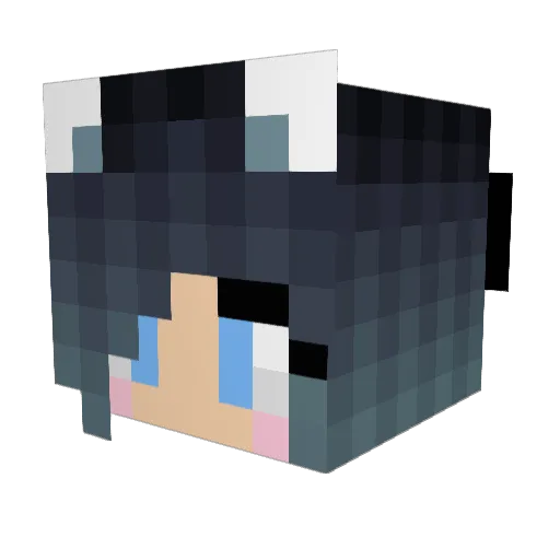 SuperKittyNinja Minecraft avatar head, 3D render