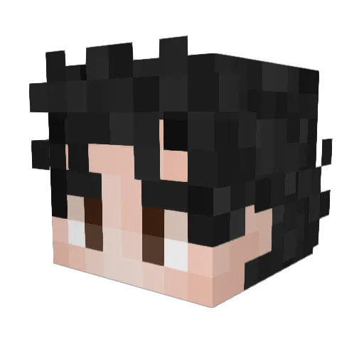 SuperLava6 Minecraft avatar head, 3D render