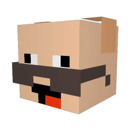 SuperLittle_P_P3 Minecraft avatar head, 3D render