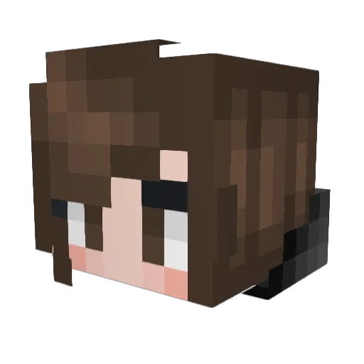 SuperLobsters Minecraft avatar head, 3D render