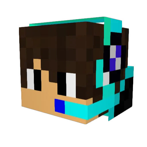 SuperLulu534 Minecraft avatar head, 3D render