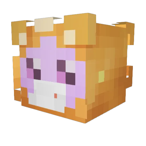 SuperMelon26 Minecraft avatar head, 3D render