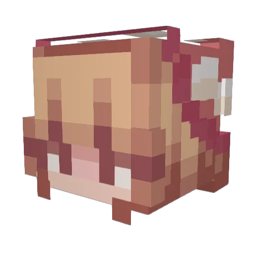 SuperNerd420 Minecraft avatar head, 3D render