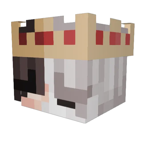 SuperNiJJaa Minecraft avatar head, 3D render