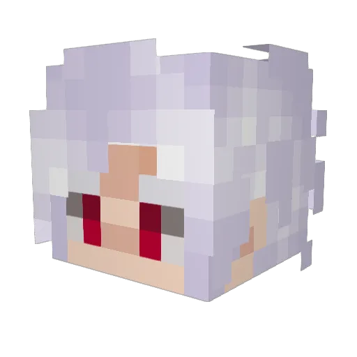 SuperNinjaBear7 Minecraft avatar head, 3D render
