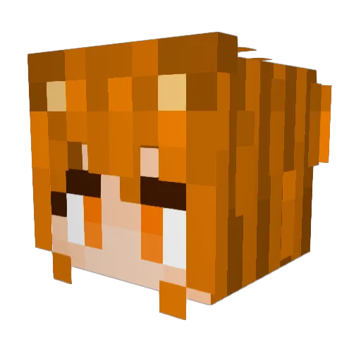 SuperNoob555 Minecraft avatar head, 3D render