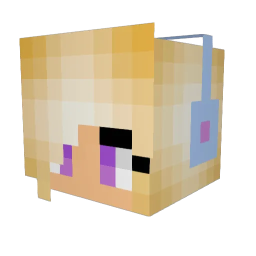 SuperNova5909 Minecraft avatar head, 3D render