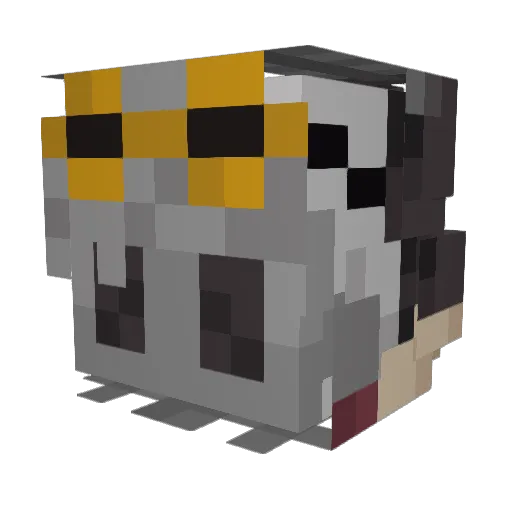 SuperNova_Sn1054 Minecraft avatar head, 3D render