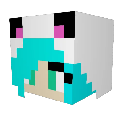 SuperPig112 Minecraft avatar head, 3D render