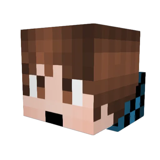 SuperPig28 Minecraft avatar head, 3D render