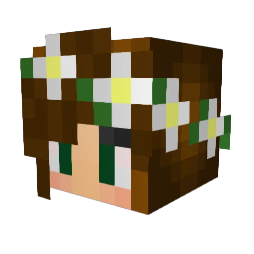 SuperPuppy47 Minecraft avatar head, 3D render